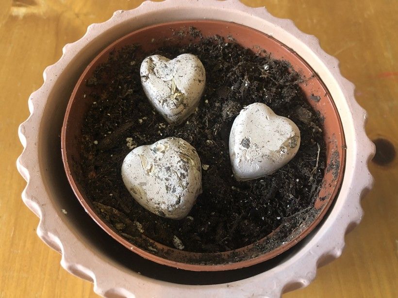 Sculptural Seed Bombs | Brandywine Conservancy and Museum of Art